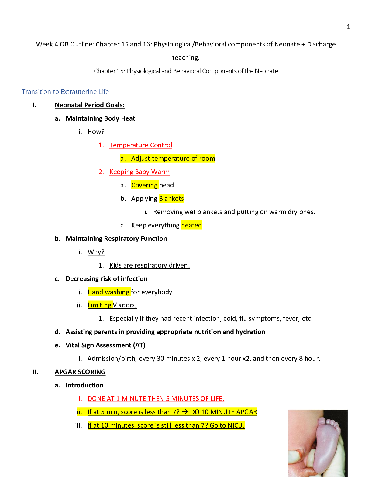Preview of NURS 306 OB Outline Study Guide, 2021 Update Study Guide, Correctly Answered Questions, Te